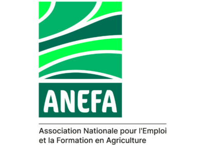 ANEFA