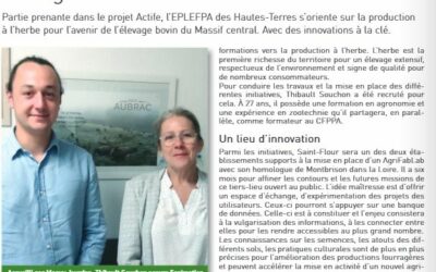 « Supplément : Zoom Infos Enseignement 2025 »