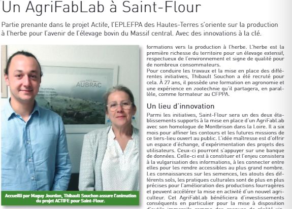 « Supplément : Zoom Infos Enseignement 2025 »