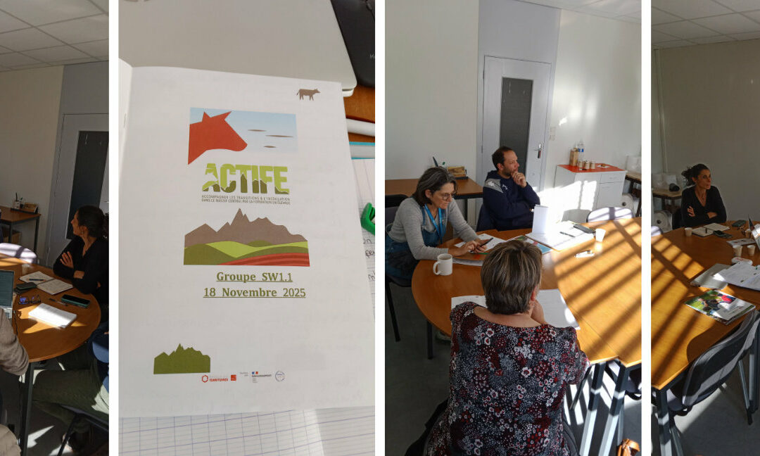 Groupe 1.1 sur le réseau d’ambassadeurs-métiers