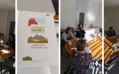 Groupe 1.1 sur le réseau d’ambassadeurs-métiers