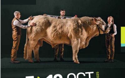 Article du dossier de presse du Sommet de l’Elevage 2025