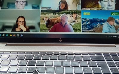 groupe autour des modèles et trajectoires économiques