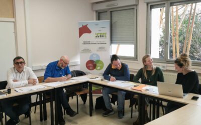 groupe 4.3 sur la création du Diplôme de Spécialisation Professionnelle