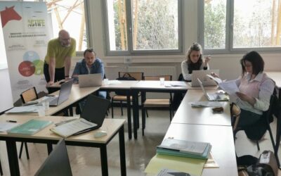 Groupe 4.3 sur le diplôme de spécialisation professionnelle
