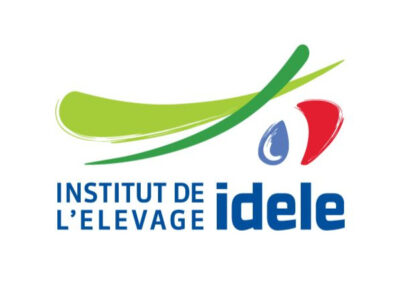 IDELE